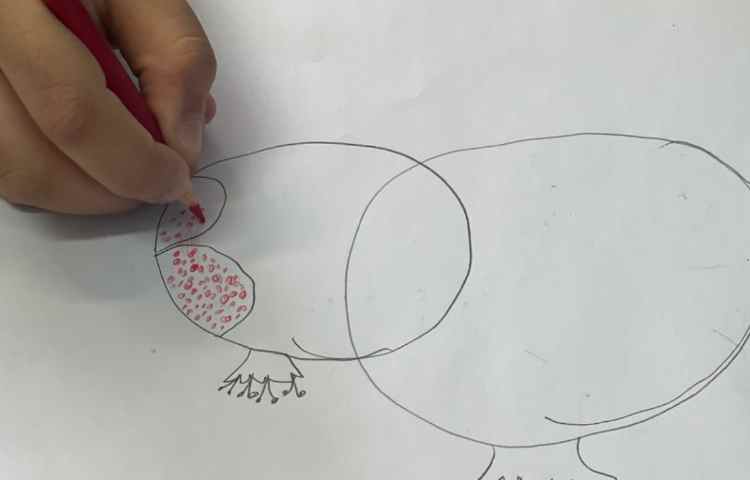 آموزش انار 6