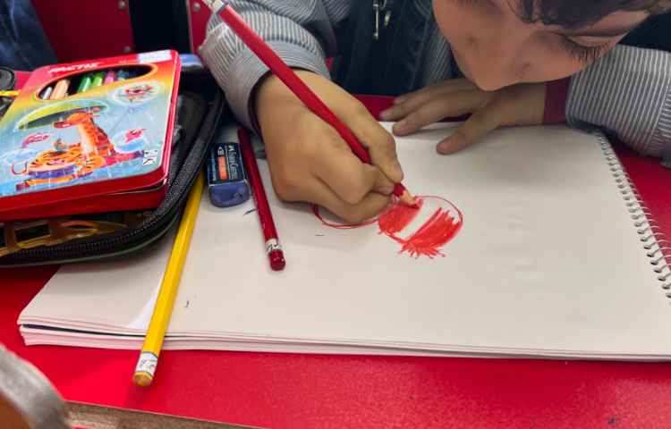 آموزش انار 7