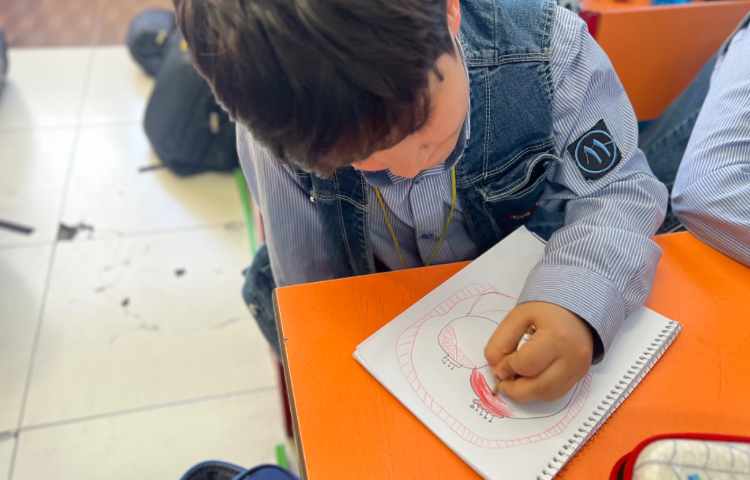 آموزش انار 8