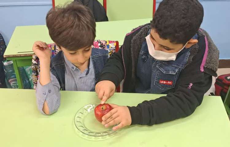 آموزش تلفیقی علوم و ریاضی، مبحث تقارن همراه با دست ورزی 1