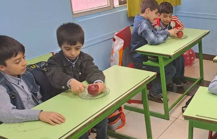 آموزش تلفیقی علوم و ریاضی، مبحث تقارن همراه با دست ورزی 2