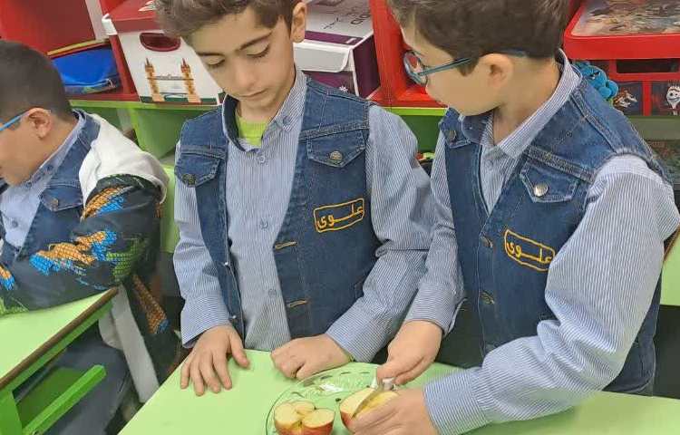 آموزش تلفیقی علوم و ریاضی، مبحث تقارن همراه با دست ورزی 4