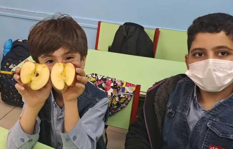 آموزش تلفیقی علوم و ریاضی، مبحث تقارن همراه با دست ورزی 5