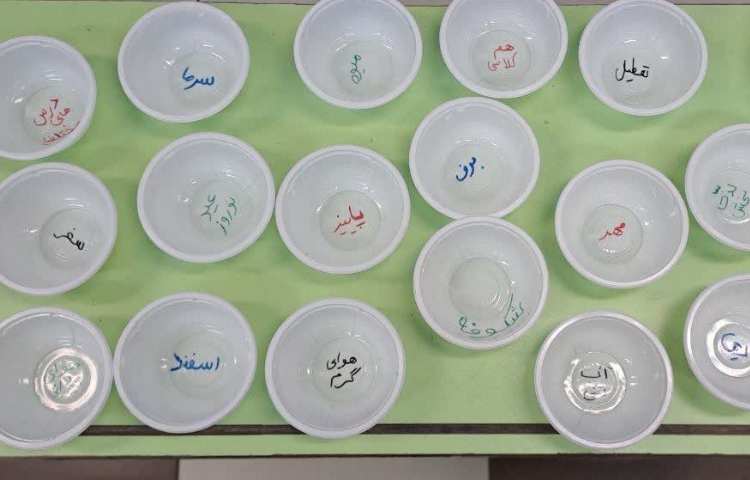 آموزش جمله نویسی و نگارش بند