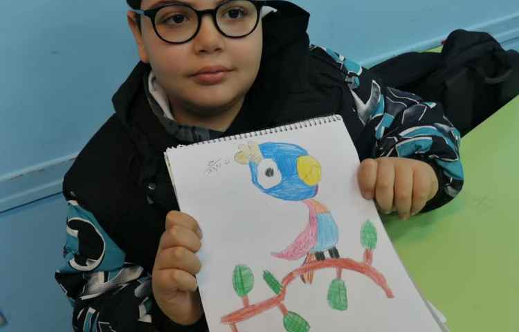 آموزش حیوانات مرحله به مرحله توسط اشکال هندسی 2