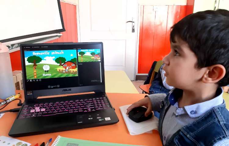 آموزش حیوانات همراه بازی آنلاین 3