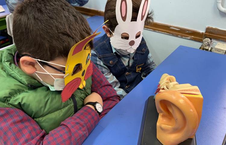 آموزش درس چهارم فارسی پایه دوم 8