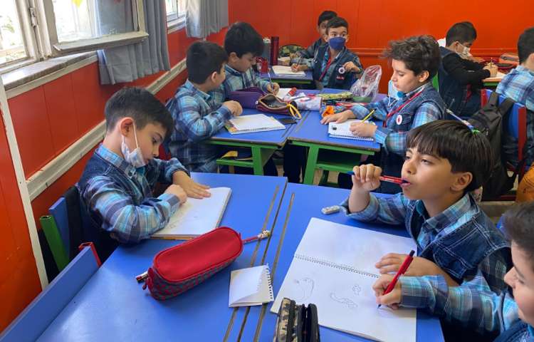 :آموزش دلفین و نهنگ و اسب دریایی، کلاس مریخ 1