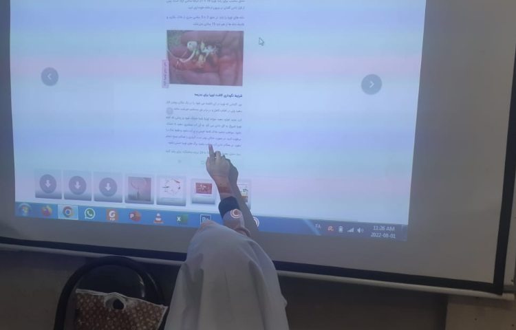 آموزش رشد دانه 1