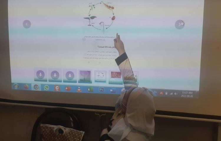 آموزش رشد دانه 2