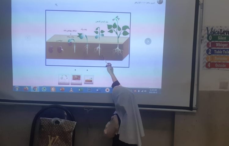 آموزش رشد دانه