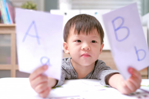 آموزش زبان در مقطع دبستان علوی