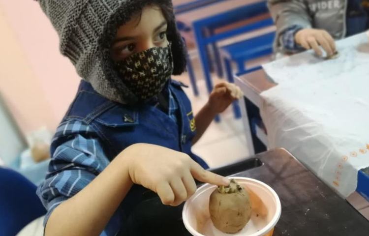 آموزش ساخت دست سازه خرمالو با گل سفالگری پیش دبستان 3