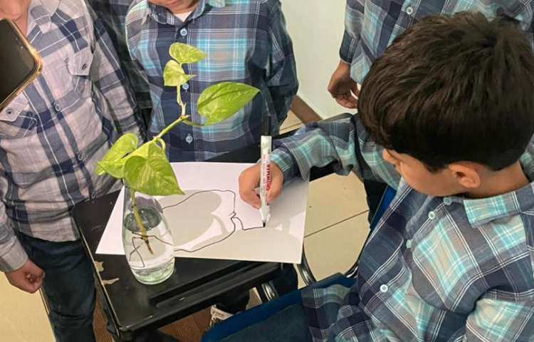 آموزش سایه مبحث علوم اول 4