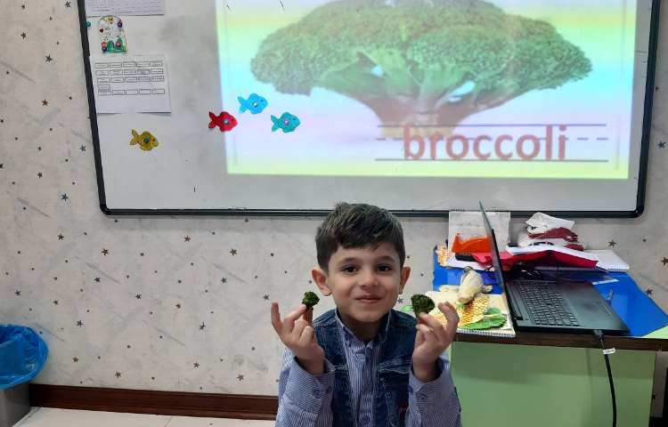 آموزش سبزیجات 3