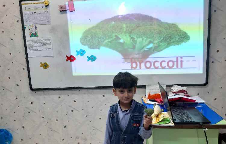 آموزش سبزیجات 4