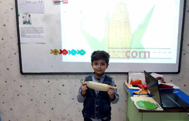 آموزش سبزیجات 5