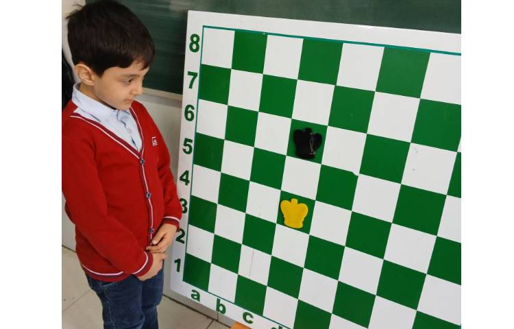 آموزش شطرنج