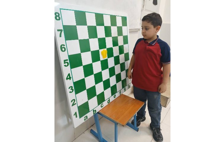 آموزش شطرنج
