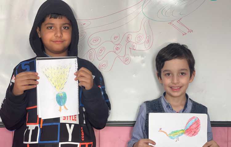 آموزش طاووس 1