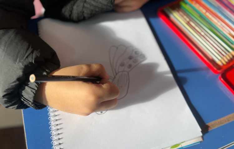 آموزش طاووس 10