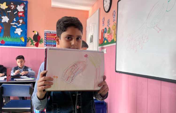 آموزش طاووس 2