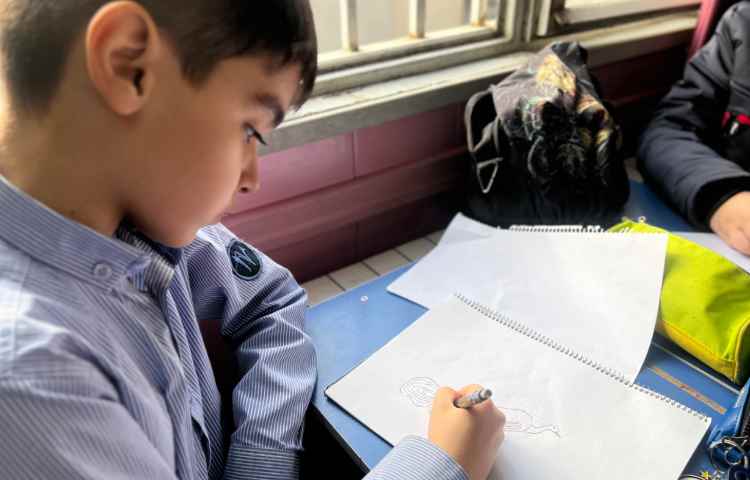 آموزش طاووس 4