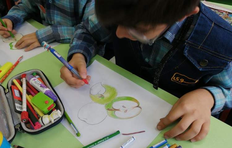 آموزش طراحی سیب در پایه چهارم 3