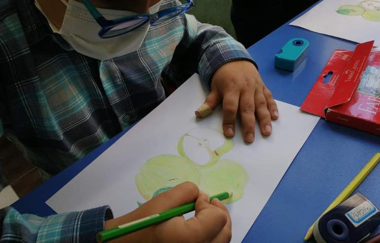 آموزش طراحی سیب در پایه چهارم 4