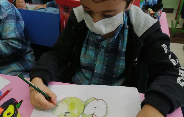 آموزش طراحی سیب در پایه چهارم 5