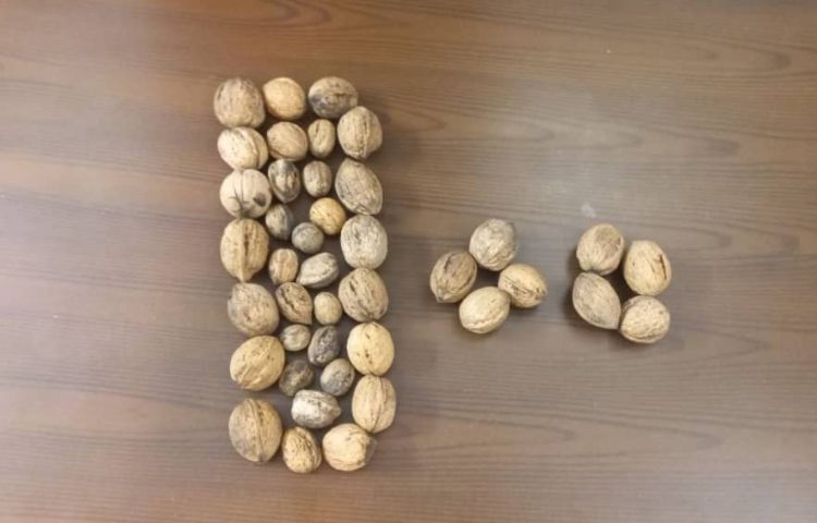 آموزش عدد 100 در کلاس دوم 3