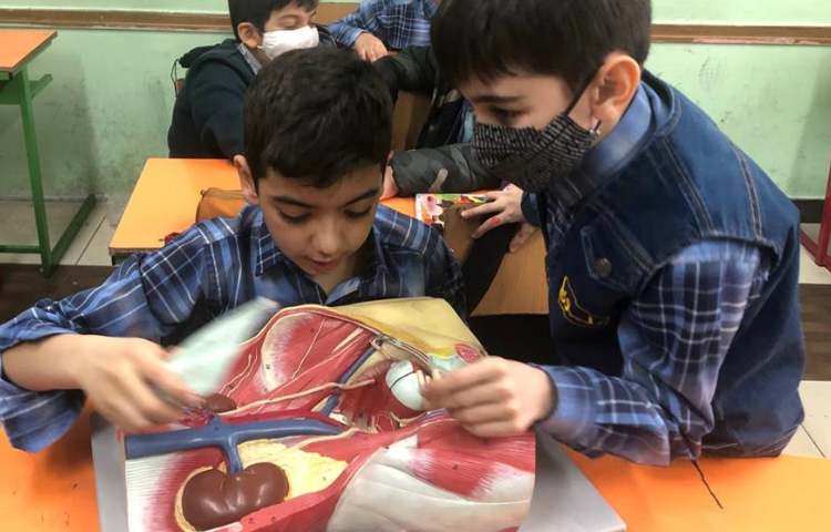 آموزش علوم (آشنایی با اجزای قلب) پایه چهارم 1