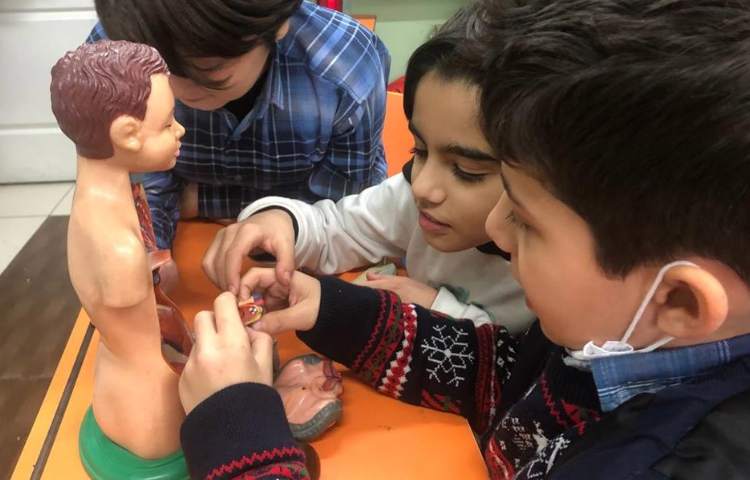 آموزش علوم (آشنایی با اجزای قلب) پایه چهارم 10