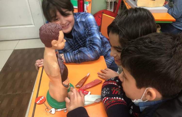 آموزش علوم (آشنایی با اجزای قلب) پایه چهارم 12