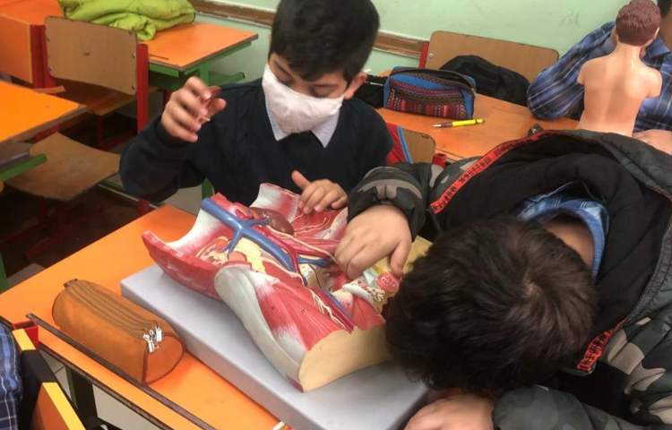 آموزش علوم (آشنایی با اجزای قلب) پایه چهارم 2