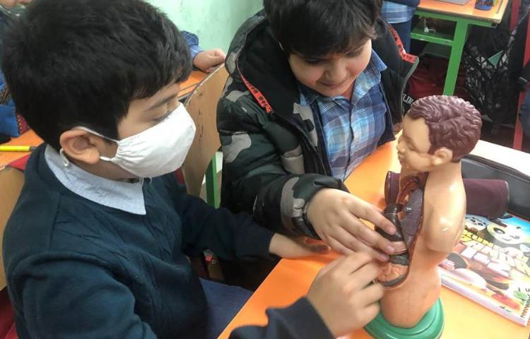 آموزش علوم (آشنایی با اجزای قلب) پایه چهارم 4