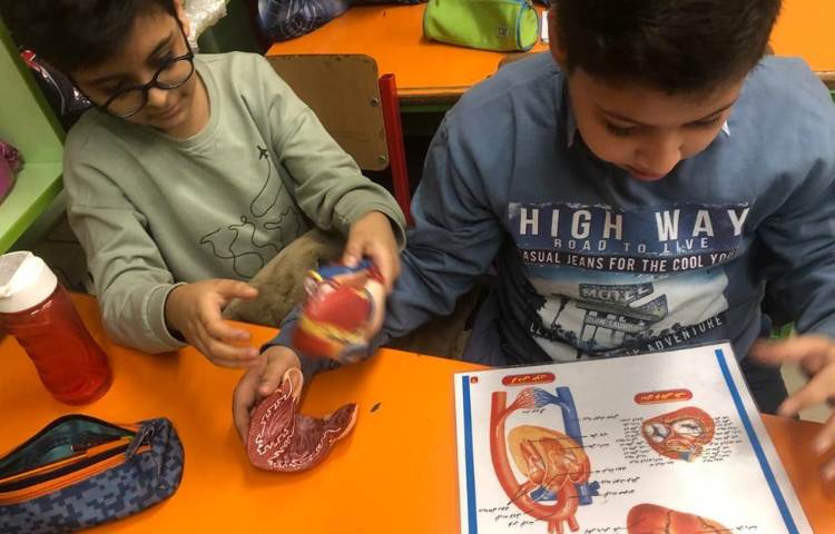 آموزش علوم (آشنایی با اجزای قلب) پایه چهارم 5