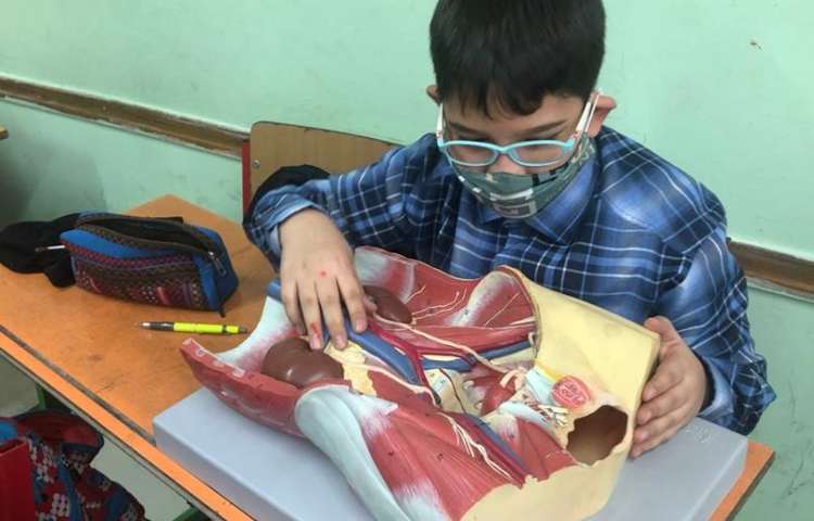 آموزش علوم (آشنایی با اجزای قلب) پایه چهارم 6