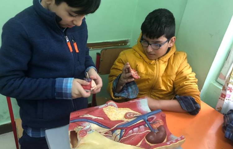 آموزش علوم (آشنایی با اجزای قلب) پایه چهارم 7