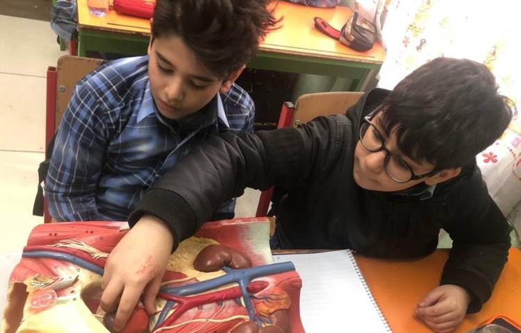 آموزش علوم (آشنایی با اجزای قلب) پایه چهارم 9