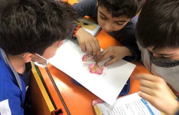 آموزش علوم آشنایی با اجزای گل پایه چهارم دبستان 1