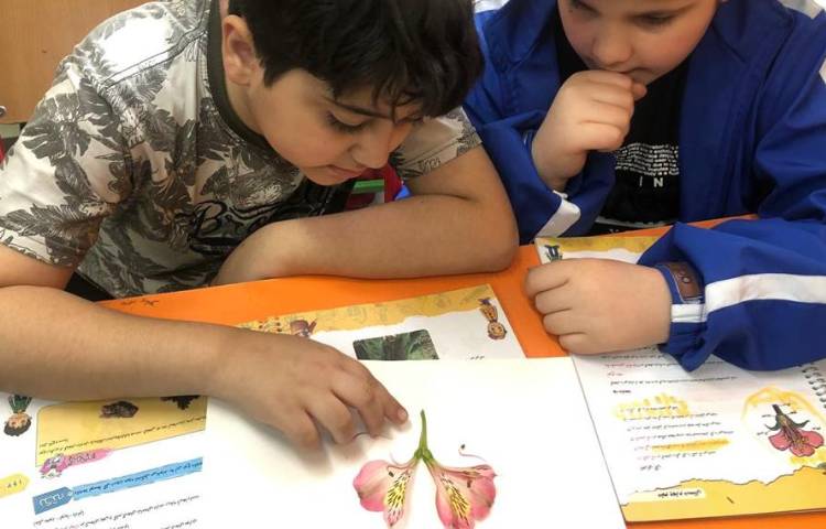 آموزش علوم آشنایی با اجزای گل پایه چهارم دبستان 2