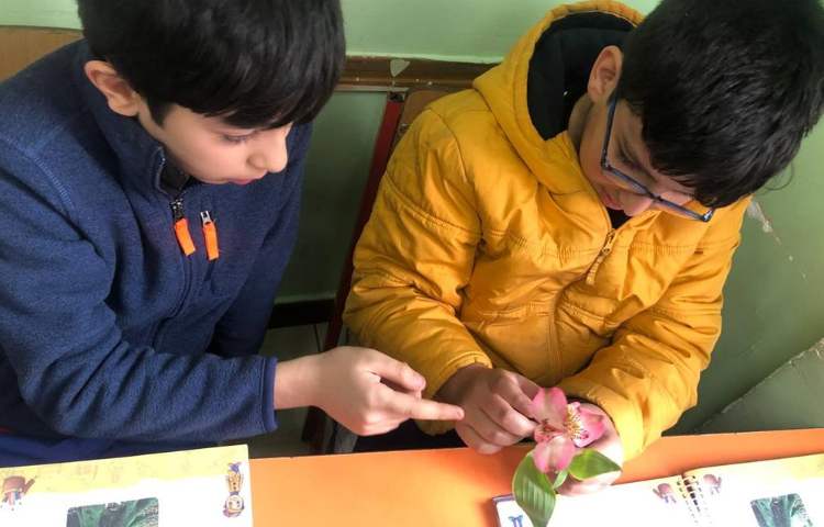 آموزش علوم آشنایی با اجزای گل پایه چهارم دبستان 5
