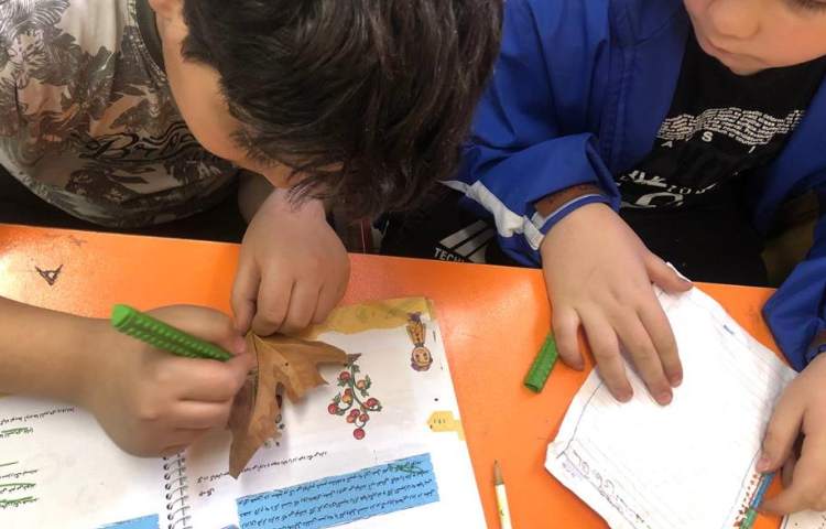 آموزش علوم آشنایی با اجزای گل پایه چهارم دبستان 6