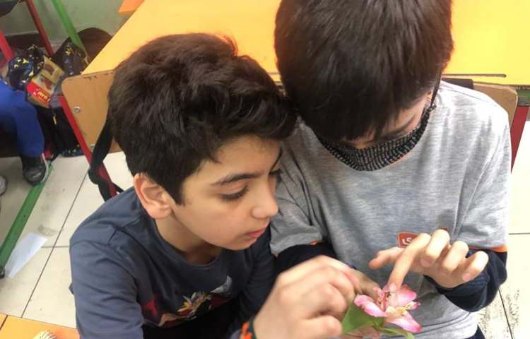 آموزش علوم آشنایی با اجزای گل پایه چهارم دبستان 9