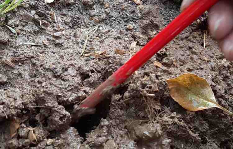 آموزش علوم (آشنایی با بی مهرگان)پایه چهارم دبستان 1