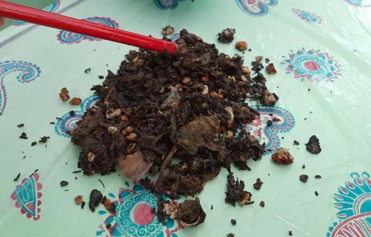 آموزش علوم (آشنایی با بی مهرگان)پایه چهارم دبستان 6