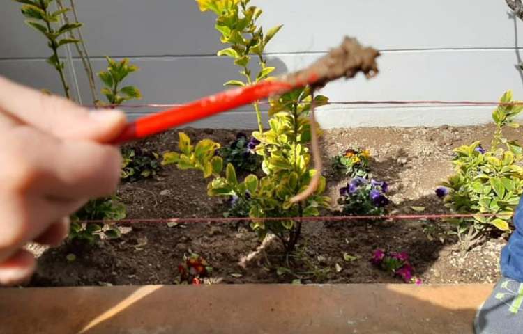 آموزش علوم (آشنایی با بی مهرگان)پایه چهارم دبستان