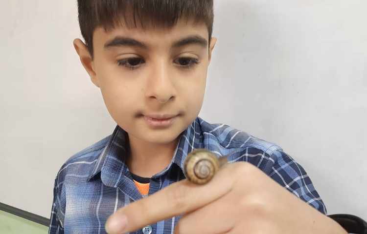 آموزش علوم آشنایی با بی مهرگان پایه چهارم 2