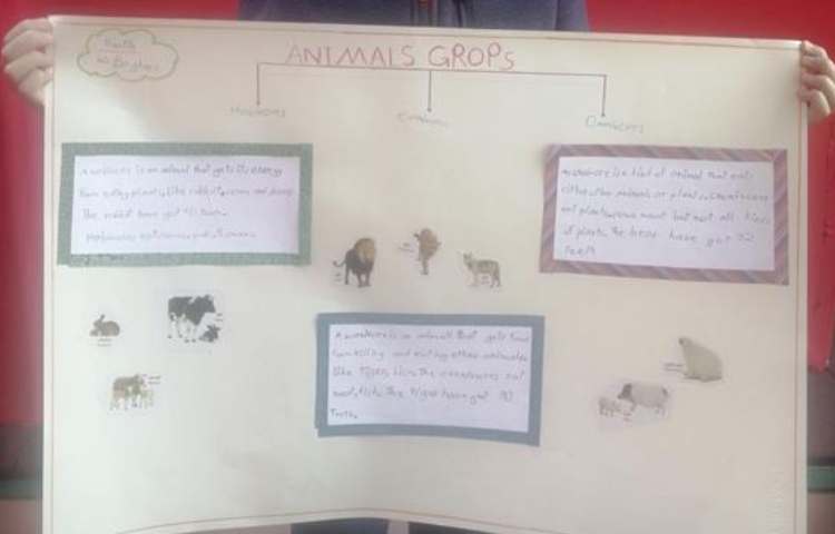 آموزش علوم به زبان انگلیسی پایه چهارم دبستان 5